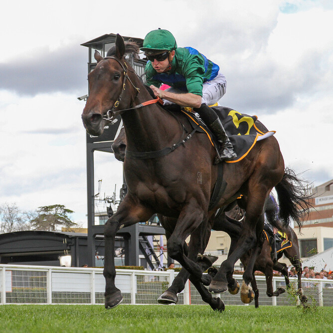 Renaissance Woman scores in the Gr.3 Ethereal Stakes (2000m) at Caulfield - Photo credit: Bruno Cannatelli