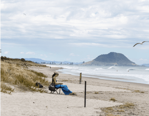 Pāpāmoa named Aotearoa&#039;s &lsquo;Choicest Suburb&rsquo; in Trade Me Property Awards