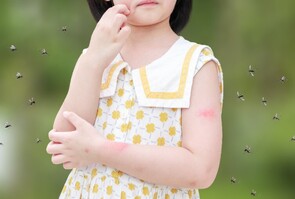 Insect Repellent