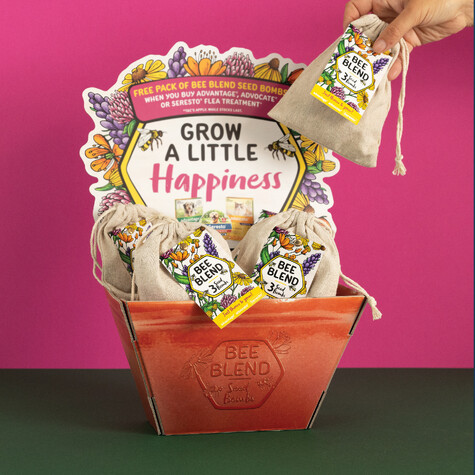 A colourful Point of Sale counter display in the shape of a bucket, with packets of seed bombs and a hand taking one out.