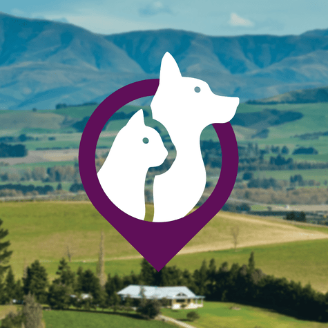 White cat and dog vector graphic inset a purple location icon, over a rural backdrop.