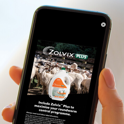 Close up image of hand holding mobile phone displaying a digital ad for Zolvix Plus.