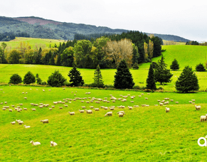 Farming Employers Update