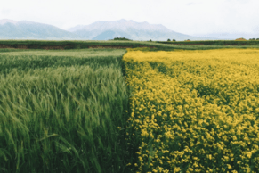 Farm accounting - 10 tips