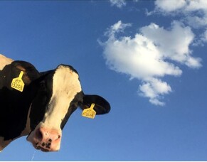 Farm Business Health Check