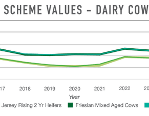 Livestock special alert 2025 | Herd values