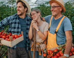 Handing over the family farm: the need for succession planning.