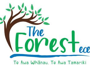 Featured Client - The Forest ECE