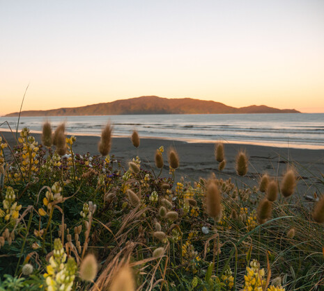 garden tour kapiti