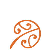 Traditional Māori Therapy