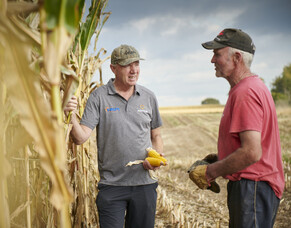 HSR brings new maize seed hybrids to the market
