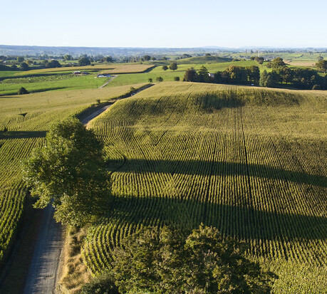 HSR Pegasus (115CRM)