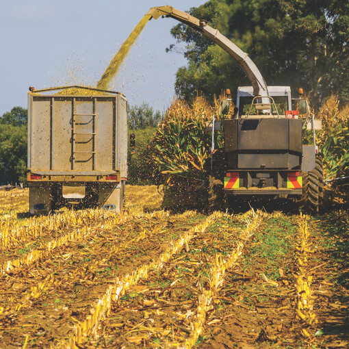 Collecting maize and silage