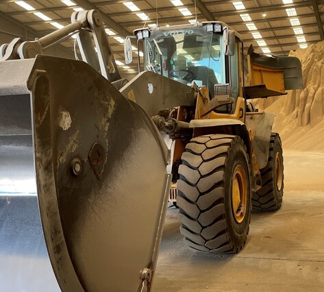 Nutrinza cows in paddock