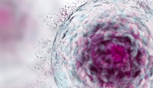 Mobilising Stem Cells for Repair, anti-aging, healing