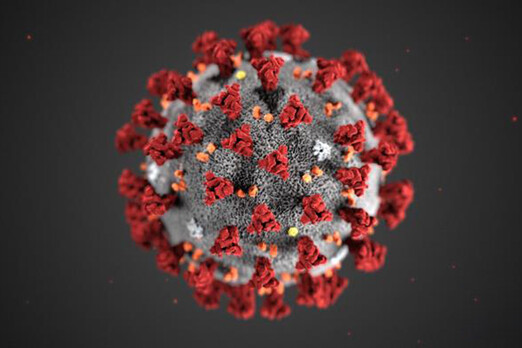 New Updates from Dr Mansoor Mohammed Immunologist and functional Genomics Scientist on Corona Virus
