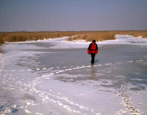 Running a long race - The right mental approach