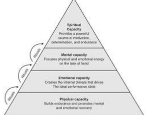 The high performance pyramid management theory and how it can apply to athletes as well