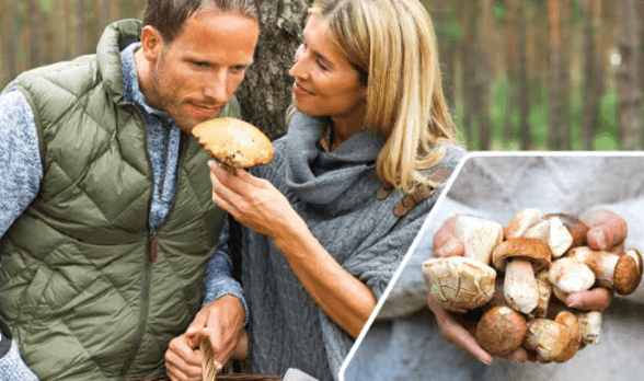 Ergothioneine: The Longevity Boosting Superhero You Haven't Heard Of