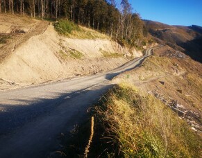 Community Talent Shout Out - Mitch White and Aspect Forestry