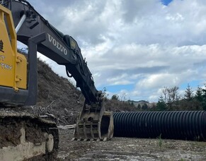 Introducing a fresh face to the forest industry