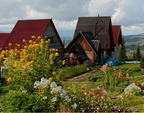 Raglan Eco-village Project