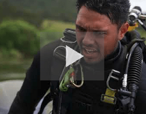 Beyond the Surface: WWP Partners with Deep Dive Division