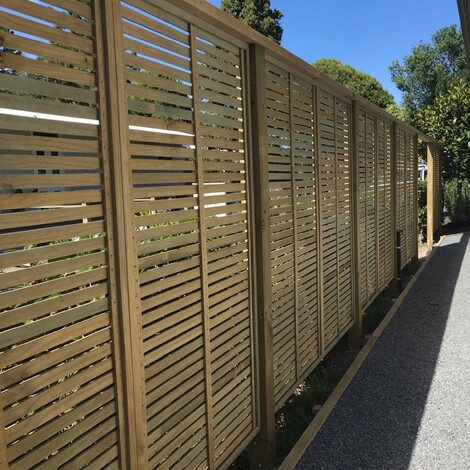 Ardent Building Developments. Hamilton, Waikato. NZ. Image of new home build landscaping