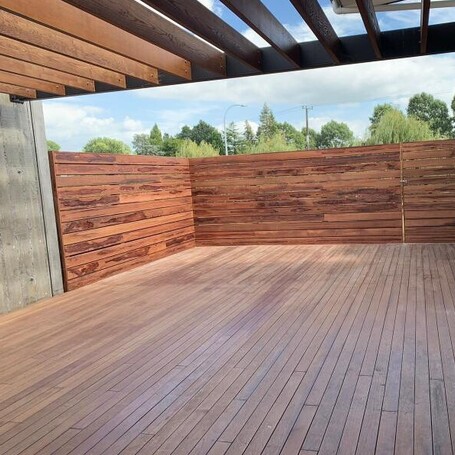 Ardent Building Developments. Hamilton, Waikato. NZ. Image of new home landscaping