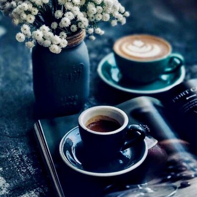 Administration Auckland New Zealand