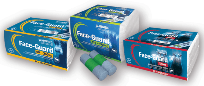 Individual zinc boluses are one option for zinc supplementation.