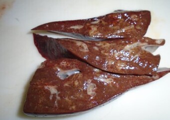Photo 1: Liver fluke damage in liver slices. Credit Ridgeway Research.