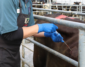 Trace elements: Are your results normal?