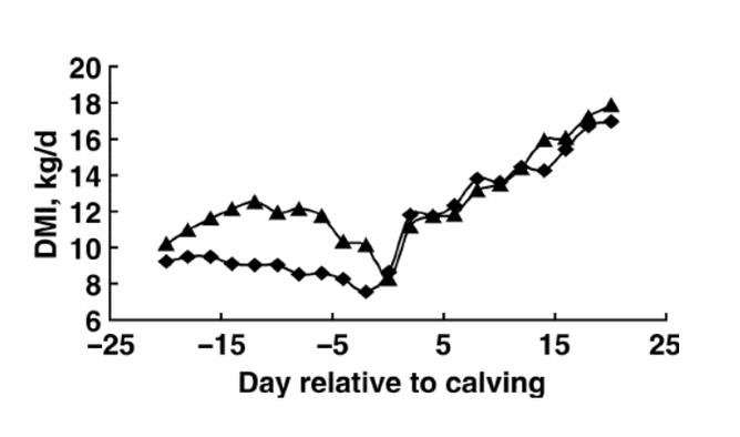 Dry matter intake around the time of calving for cows fed a nonlactating diet pre-calving and a lactation diet post-calving (diamonds), or a transition diet from 17d prior to calving through to 14d post-calving (triangles). Credit: Guo, Peters and Kohn, 2007.