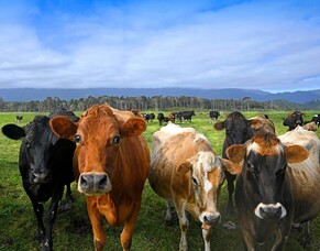 Preparing for reproduction