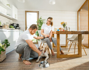 De Facto Relationships