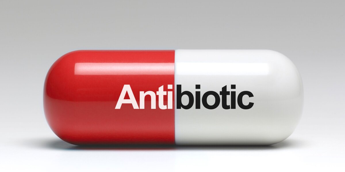 Using technology to combat antibiotic resistance | Vet Clinic Morrinsville