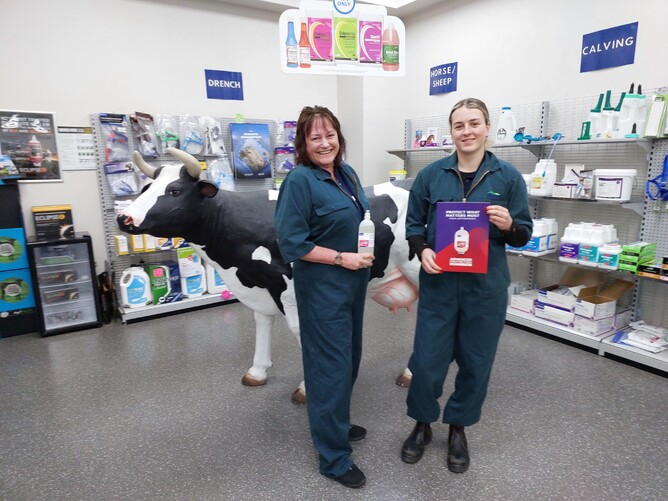 Some of our wonderful techs getting ready to go and Lepto vaccinate some calves.
