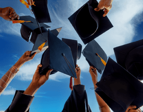 Thoughts from the sideline: Dealing with an international vet shortage