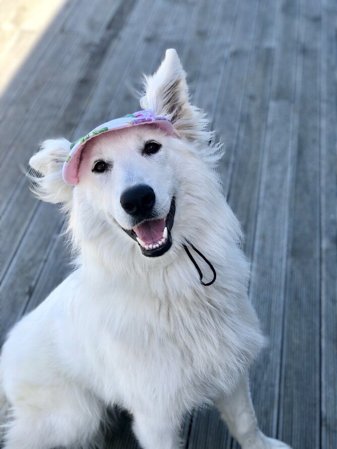 Image by: Kayla Ross