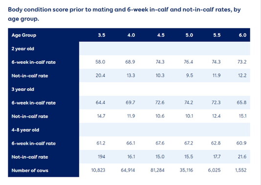 Figure 1. New Zealand dairy cow reproduction data from spring 2019.Source: ‘Body condition score at mating and its impact on reproduction’ by LIC.