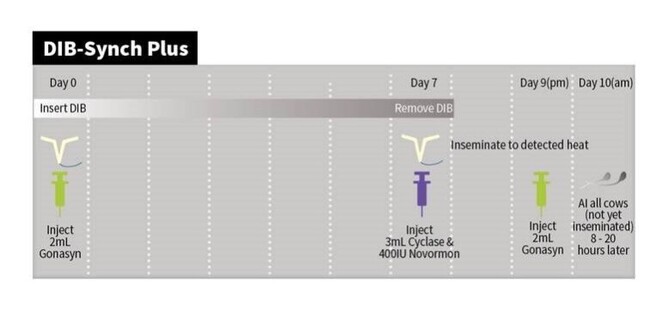 Credit: AgriHealth. Note: Concentration in injectable drugs may vary.