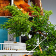 What happens if you accidentally start a fire and burn down someones house?