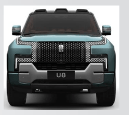The competitive EV market