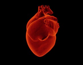 Heart Attacks in women - they are different to men - and can affect healthy women