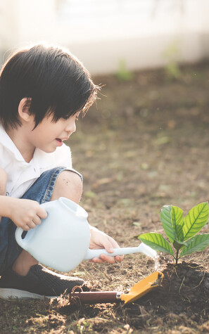 Learn what Moneyworks provides you with