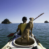 Ethical and responsible investing. Plan between 40 and 65 with Moneyworks