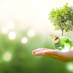 Ethical and responsible investing. Learn about Moneyworks ethical investing by doing good and making the world a better place