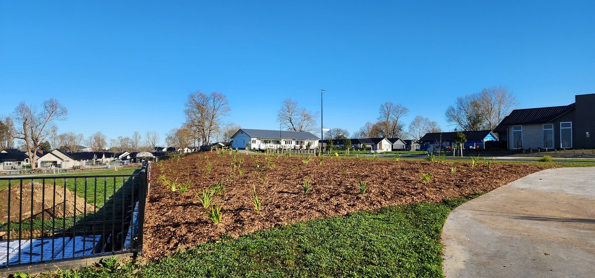 Commercial Landscaping Collins and Sons Ltd