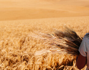 Who will Continue your Work?